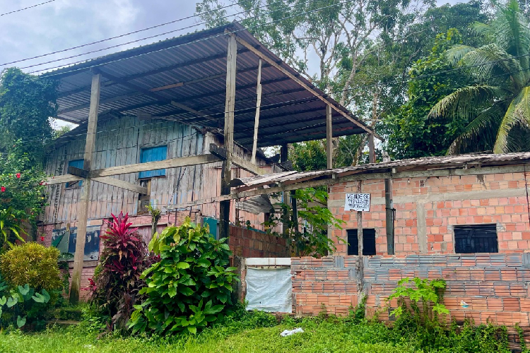 Imagem de capa da galeria