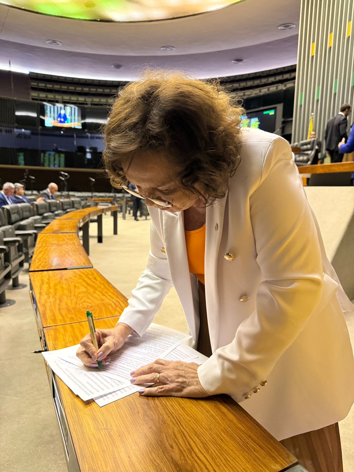 Imagem de capa da galeria