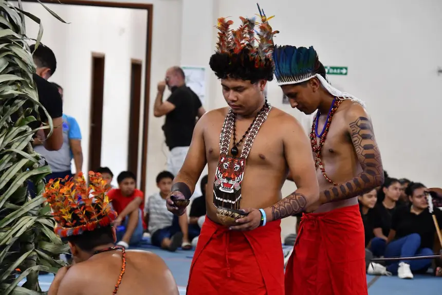 Imagem de capa da galeria