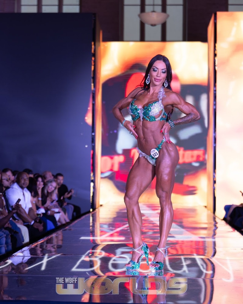 Imagem de capa da galeria