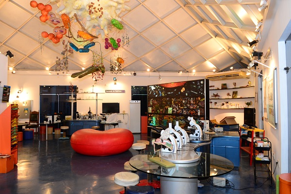 Imagem de capa da galeria