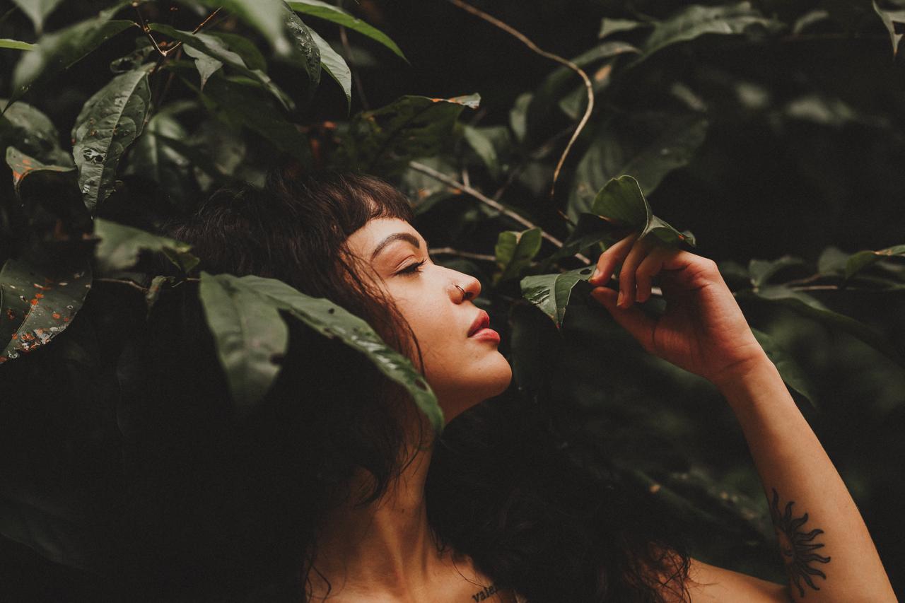 Imagem da galeria mais recente