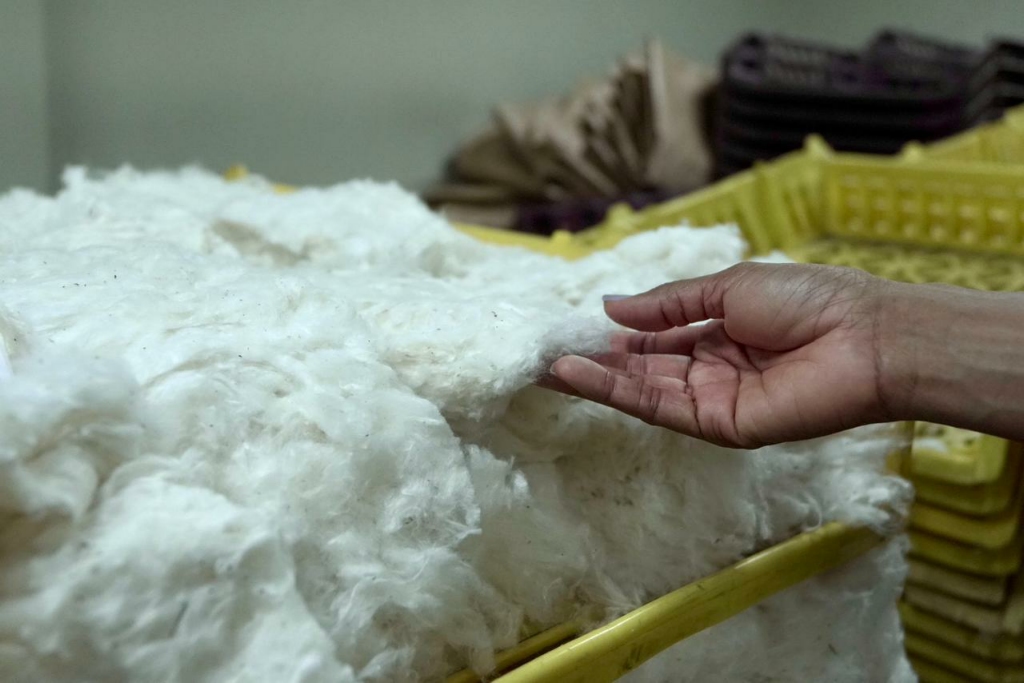 Sebrae Amapá participa do 1º intercâmbio nacional da Rota da Moda em Fortaleza