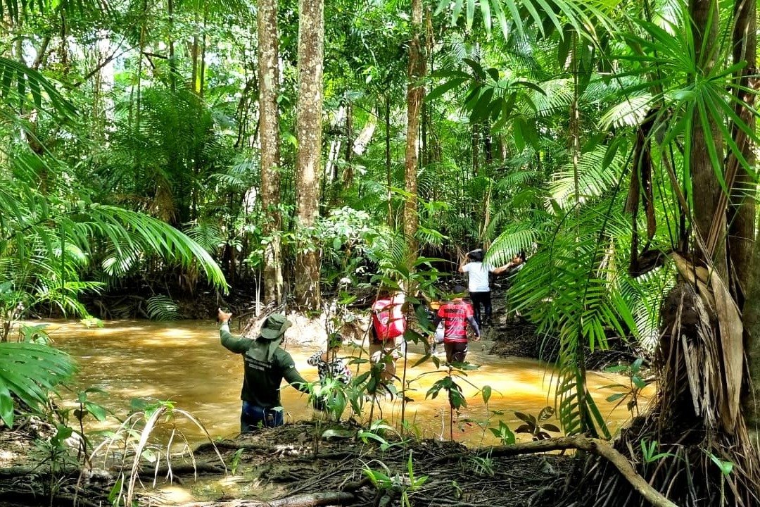 Campanha 'Um Dia no Parque' promove programação nas APAs da Fazendinha e do Rio Curiaú, em Macapá