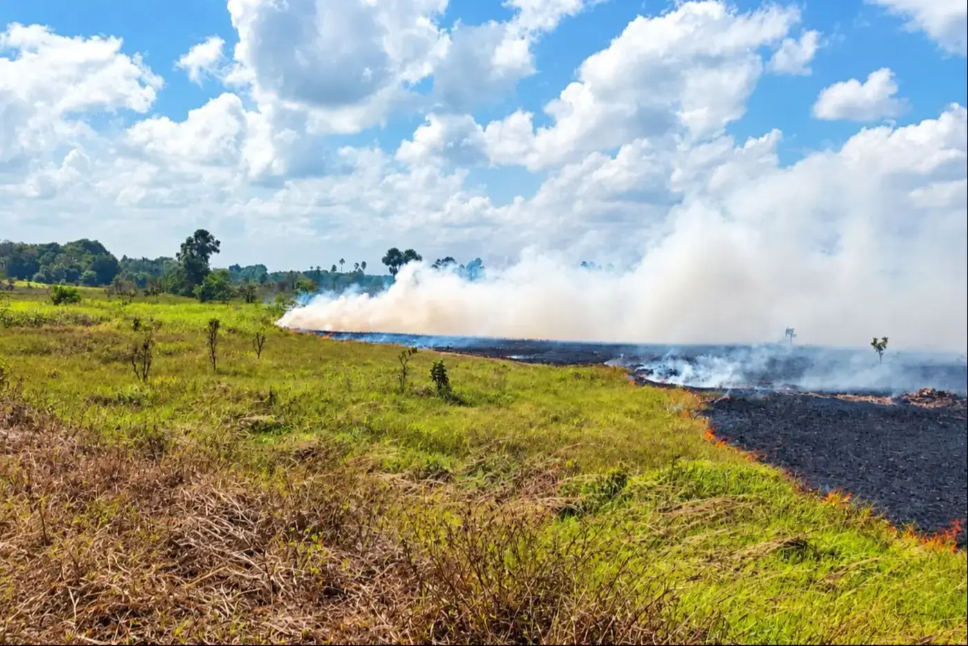 Amapá avança na segunda fase de elaboração do Plano de Manejo Integrado do Fogo