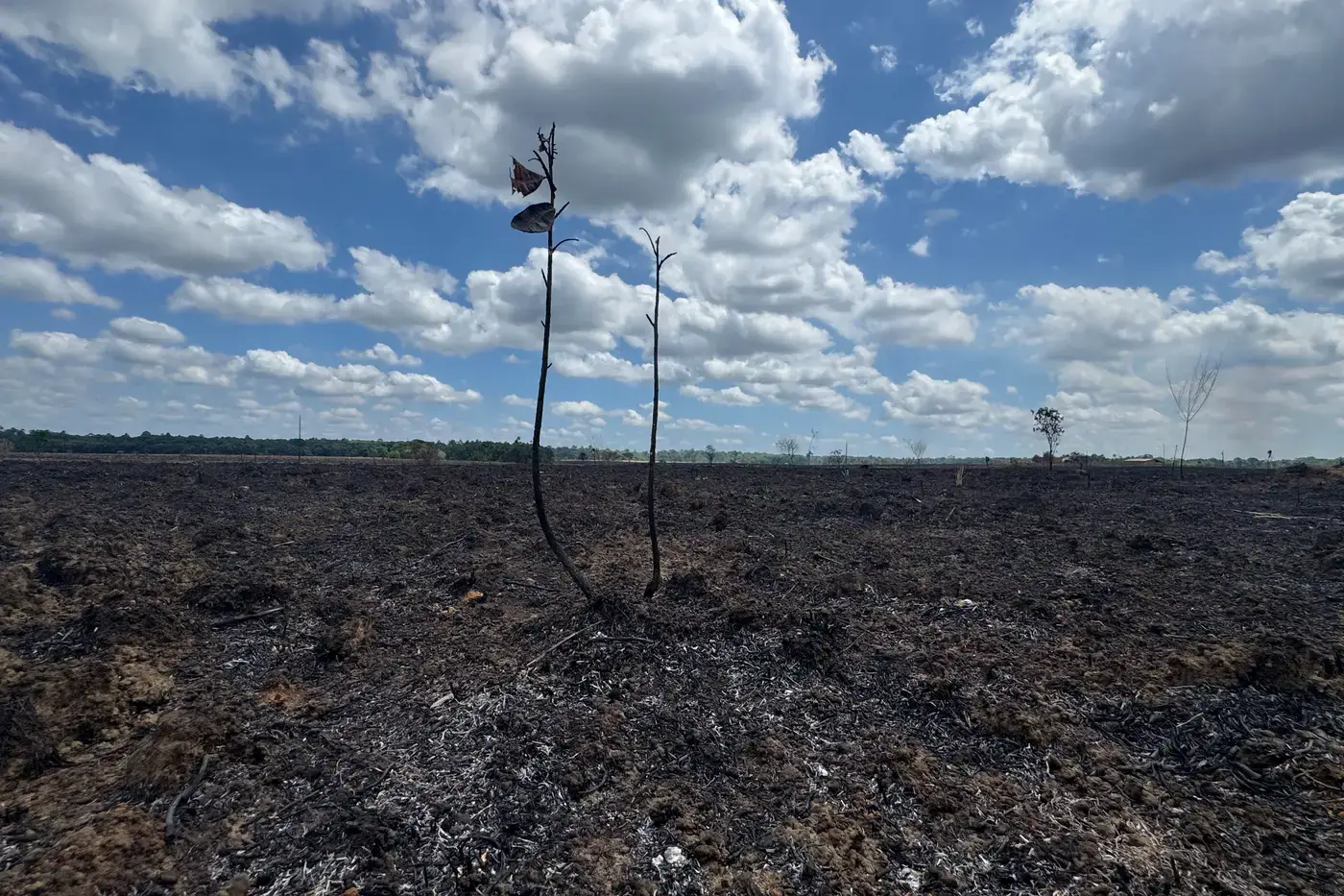 Amapá avança na segunda fase de elaboração do Plano de Manejo Integrado do Fogo