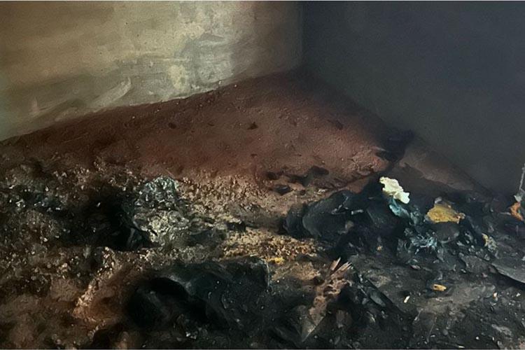 More News image