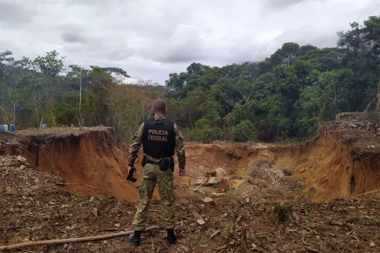 PF deflagra Operação Raiz Pública contra crimes ambientais no Amapá