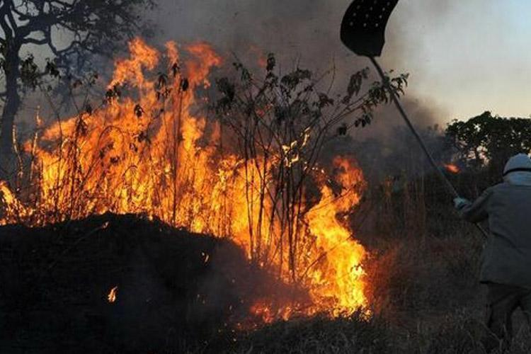 More News image