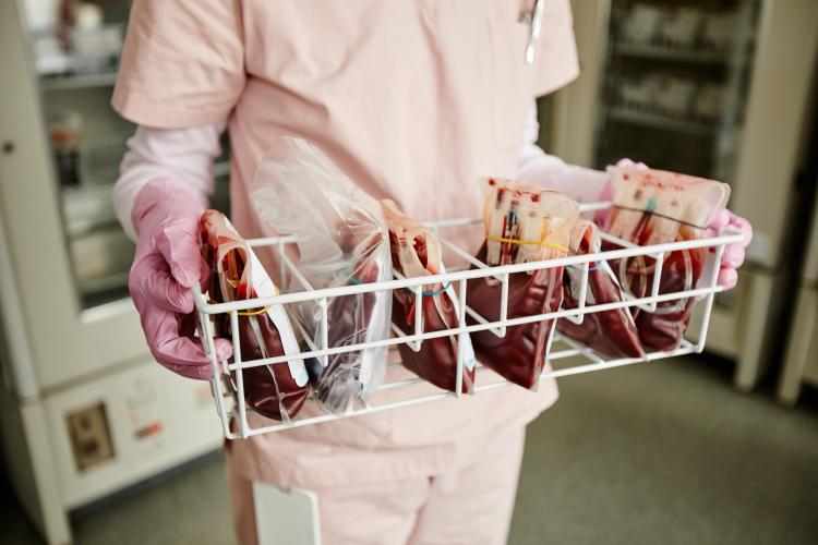 Combustível para salvar vidas: doações de sangue são essenciais para manter sistema de saúde  