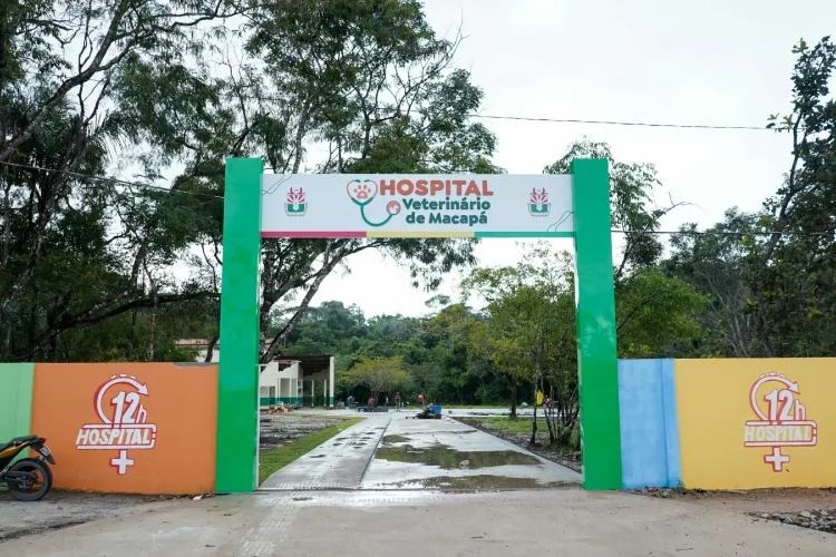 Saiba como ter acesso aos serviços oferecidos pelo Hospital Veterinário