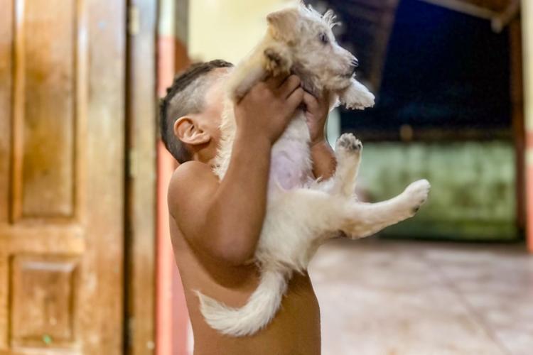 Chuvas em Macapá: Escola acolhe animais de estimação de famílias desabrigadas