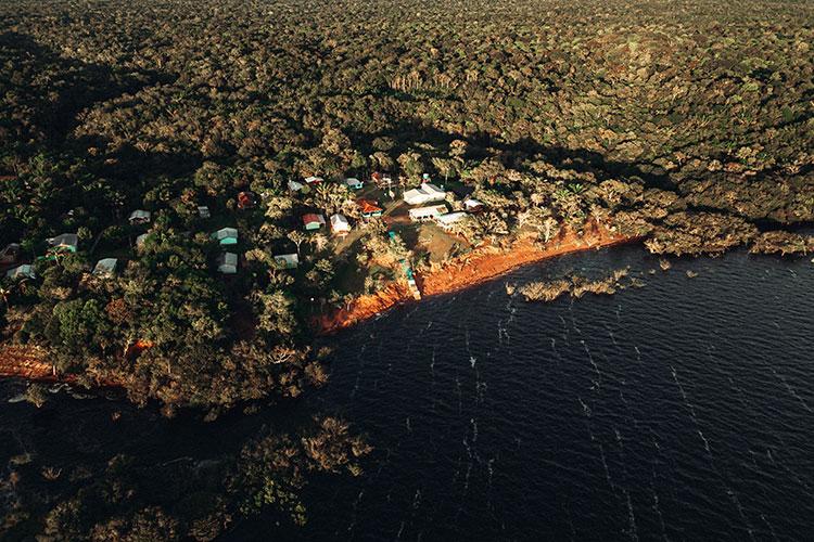 Mês do Meio Ambiente é celebrado com documentário, webinar e atividades educativas gratuitas