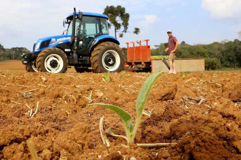 Medida provisória cria linhas de crédito para produtores rurais afetados pelo clima e pela queda de preços - Notícias