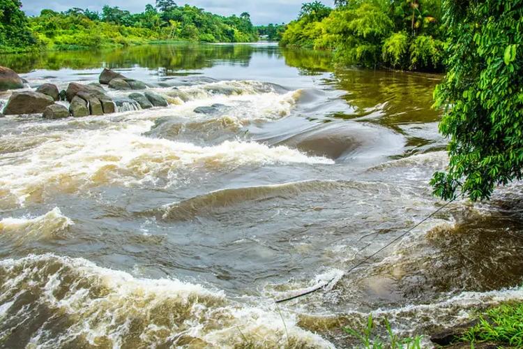 Governo do Estado realiza 5ª Conferência Estadual do Meio Ambiente, em Macapá; confira a programação