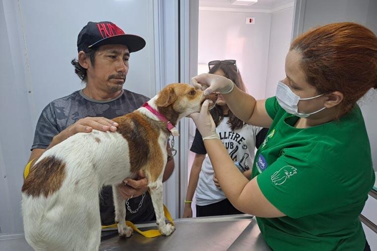 Castramóvel Itinerante: Foco do atendimento agora são cães fêmeas