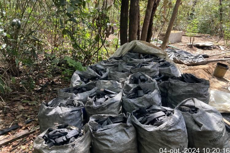 Polícia civil prende três por produção ilegal de carvão vegetal e poluição em Macapá