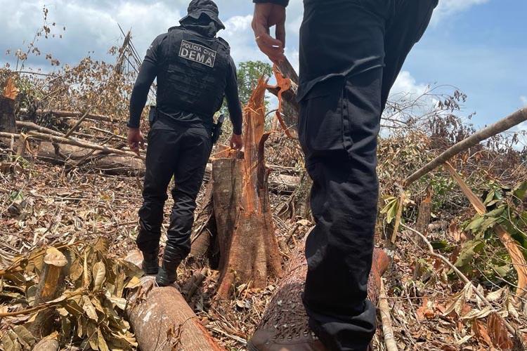 Garimpo Ilegal desmontado em Pedra Branca: Polícia Civil combate crimes ambientais