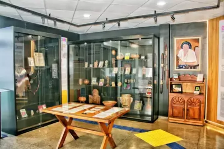 Governo do Amapá celebra 81 anos da Biblioteca Elcy Lacerda e marca 100 dias de revitalização