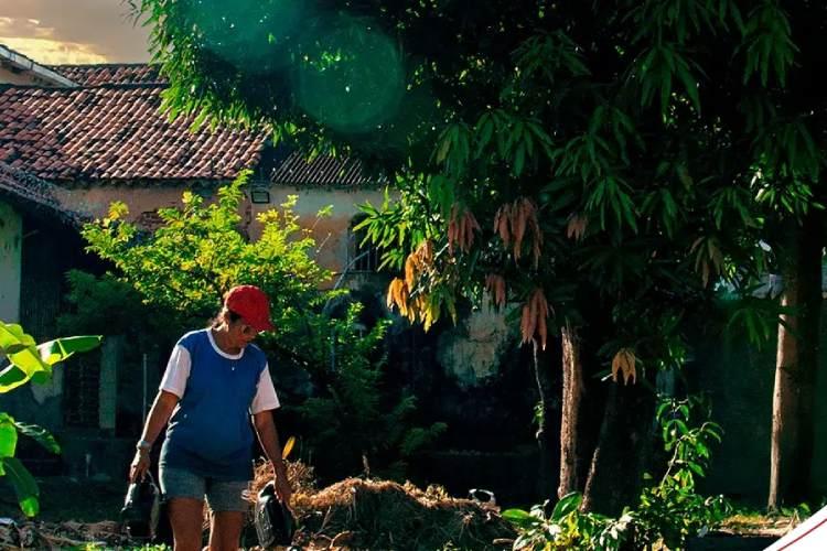 Prêmio Pacto Contra a Fome 2024 abre inscrições e oferece R$100 mil a iniciativas vencedoras