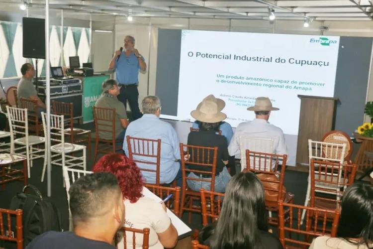 Expofeira 2026 mostra potencial do cupuaçu para gerar novos produtos além da polpa no Amapá