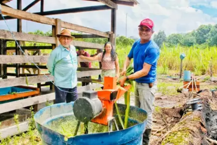 Governo do Amapá abre edital para selecionar produtores familiares para receberem maquinários agrícolas