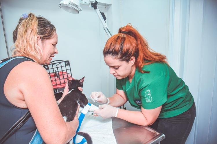 Cães fêmeas são novo público-alvo para atendimentos do Castramóvel Itinerante