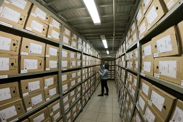 Arquivistas do Senado ajudam a guardar e contar a história do Brasil