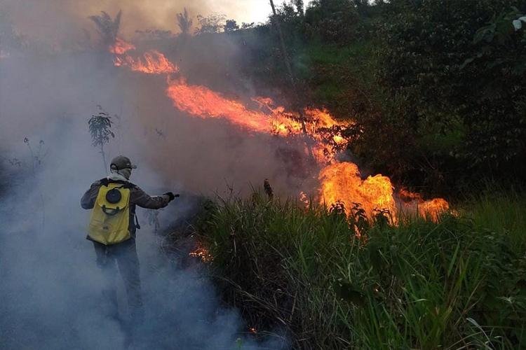 Operação Amapá Verde: Combate a incêndios florestais registra 42 ocorrências
