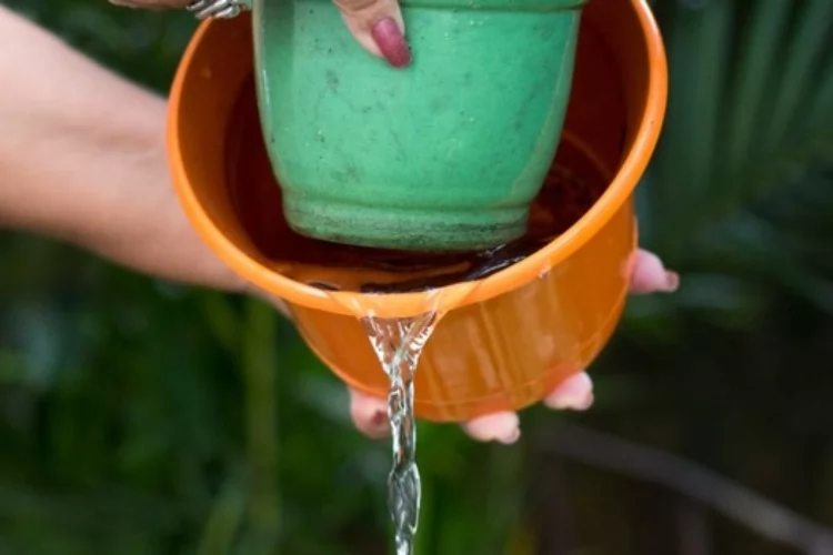 Dengue acende alerta no Norte: prevenção começa dentro de casa