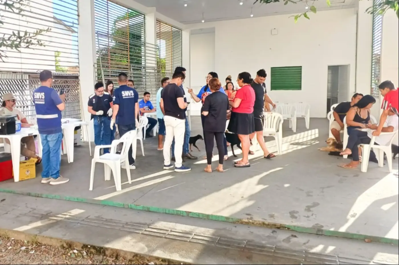  1º Circuito Pet Habitacional do Governo do Estado encerra com mais de mil atendimentos 