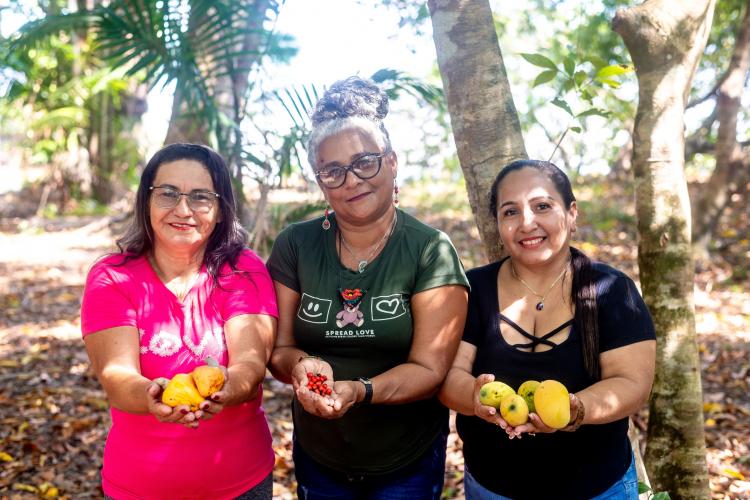 No Marajó (PA), cozinhas coletivas agroextrativistas ganham forma em comunidades rurais de Portel e Breves