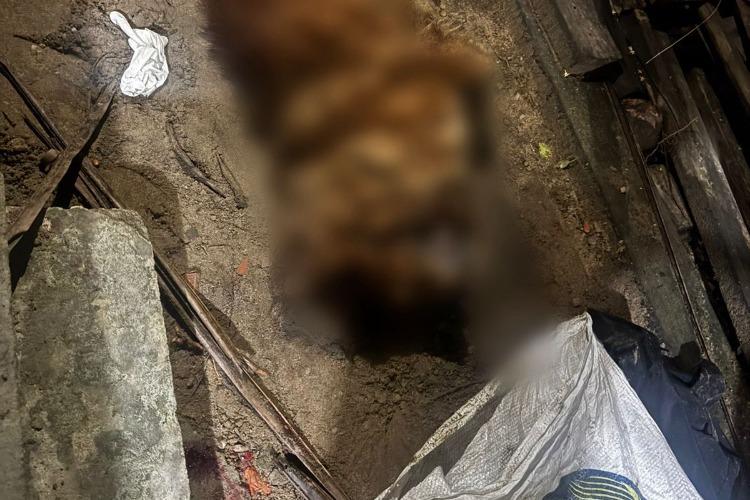 Em Porto Grande, Polícia Civil prende homem por maus-tratos a animal com resultado morte