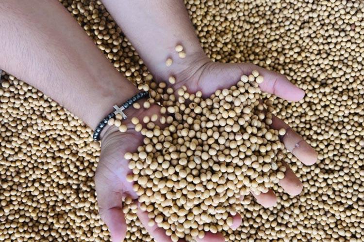 No Dia Mundial da Agricultura, Júnior Favacho destaca contribuições para setor produtivo no AP
