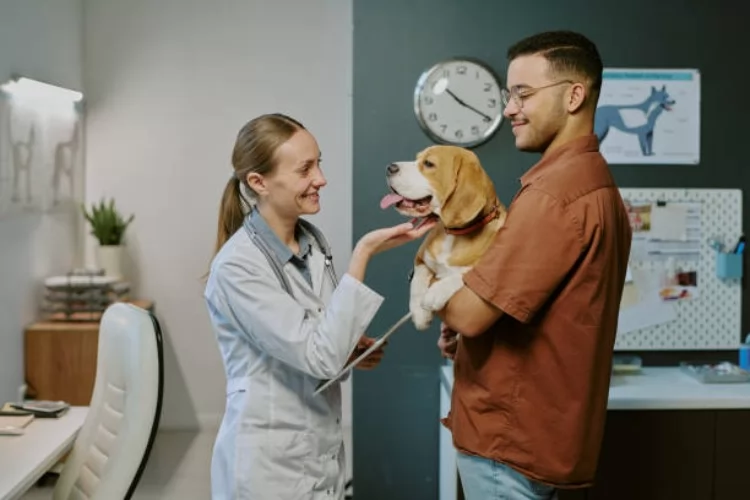 Cardiopatias em cães: 5 mitos e verdades que todo responsável precisa conhecer