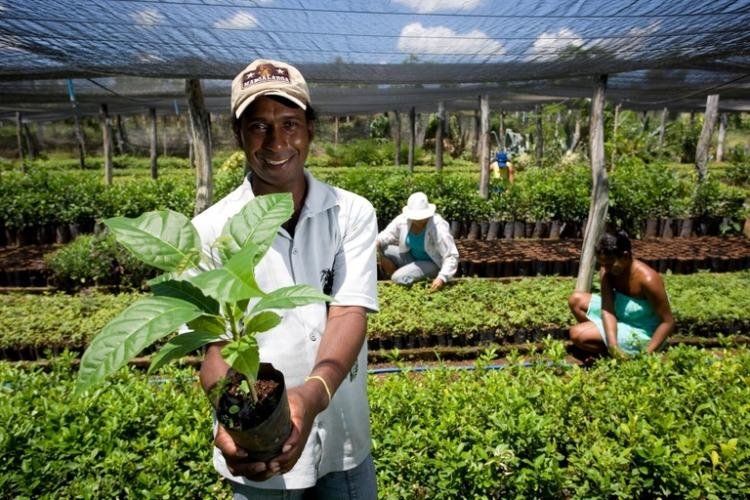 No Amapá, órgãos públicos já contrataram mais de R$ 360 mil de microempreendedores e agricultores familiares pelo Contrata+Brasil