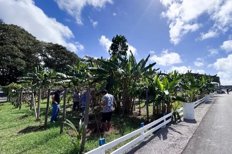 Expofeira 2026 contará com Arena do Agro, serviços e incentivo à produção rural