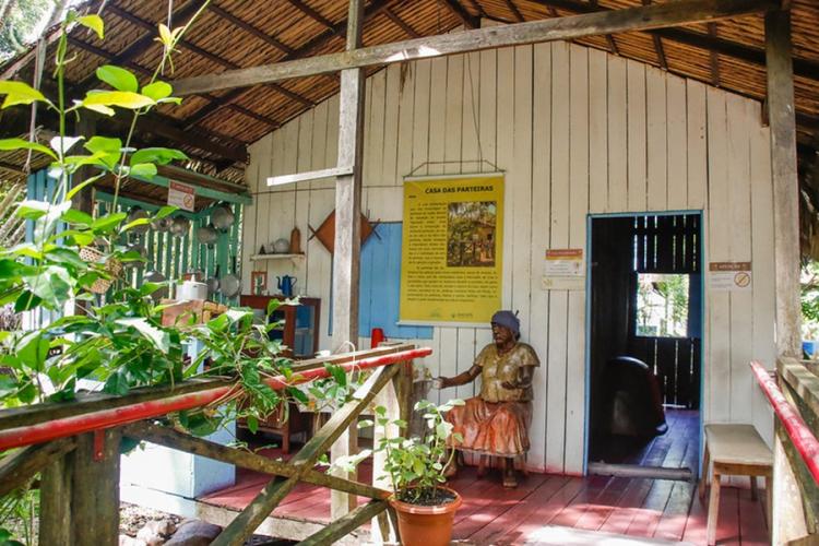 Roda de conversa com parteiras tradicionais fortalece prática no Amapá