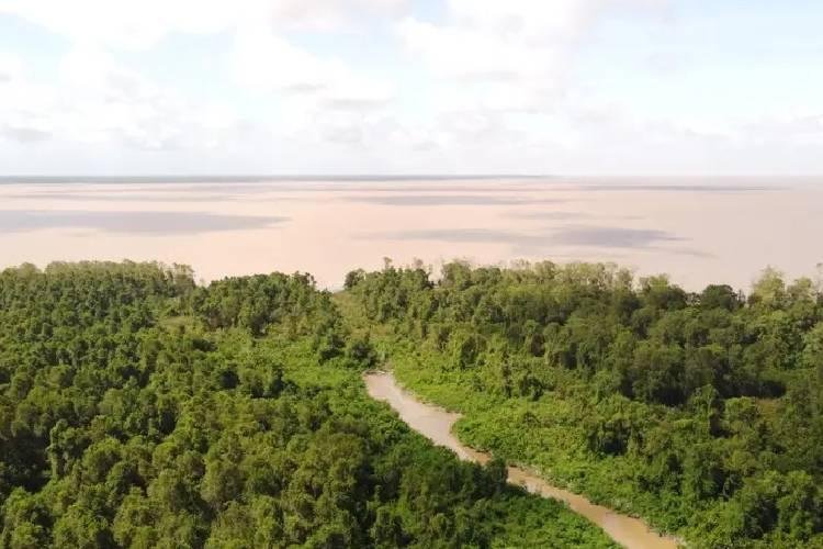 Governo do Amapá realiza expedição científica na reserva Biológica do Parazinho, no arquipélago do Bailique