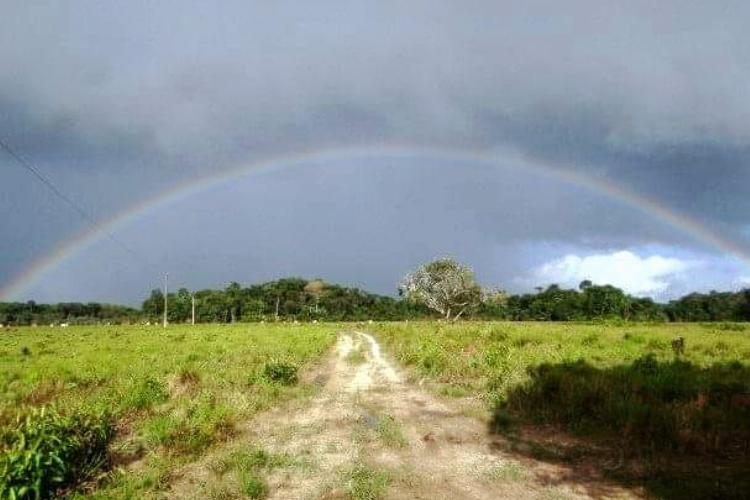 A natureza, o homem e a comunicação