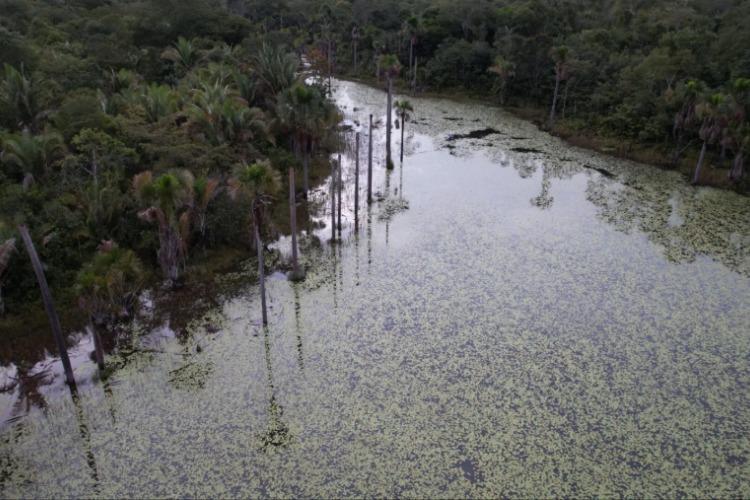 Cerrado perdeu 38% de água em rios e lagoas e viu área de barragens crescer