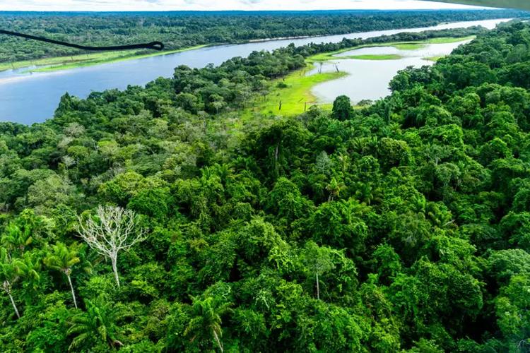 Brasil anuncia R$ 1 bi para Arco de Restauração, com R$ 450 milhões já aprovados do Fundo Amazônia