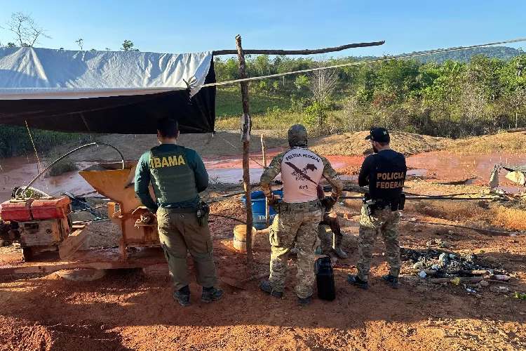 PF e IBAMA realizam ação contra garimpo ilegal em Tartarugalzinho/AP