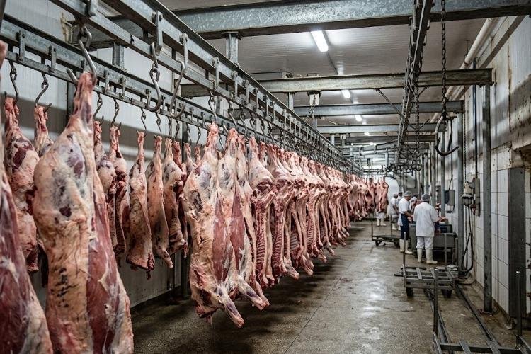Exportação de carne bovina por contêiner para China sofre queda drástica em julho