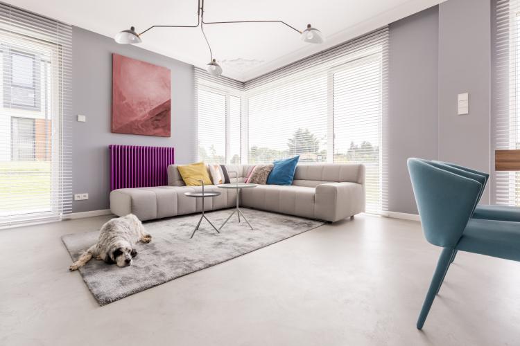 Pets em apartamento: confira dicas para ter um ambiente pet friendly