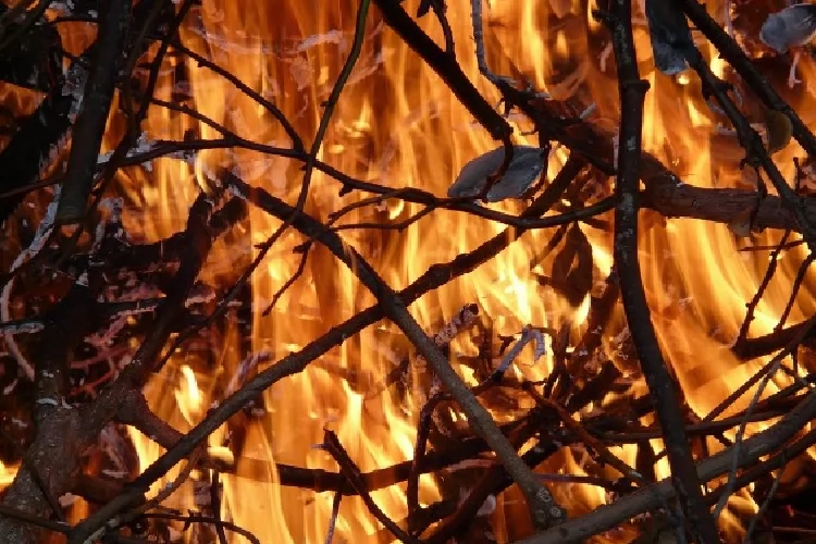 MP-AP cobra educação ambiental e articulações preventivas contra incêndios em Serra do Navio e Pedra Branca