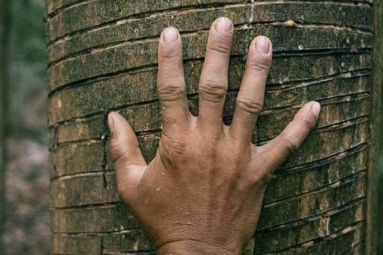 Greve dos servidores da área ambiental gera preocupa às populações extrativistas