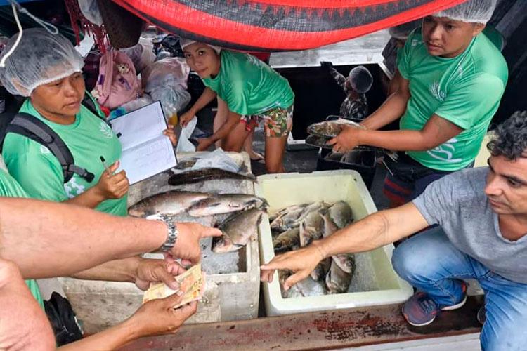 Povo Paumari inova no manejo pesqueiro no Amazonas