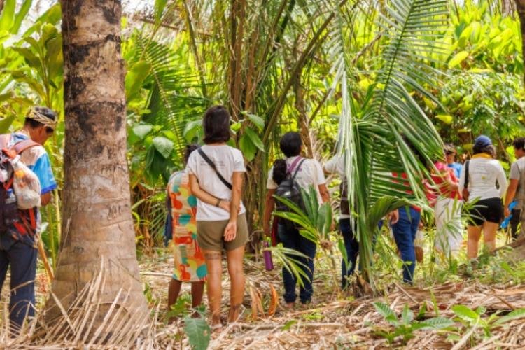 A restauração ecológica só será possível incluindo as comunidades locais