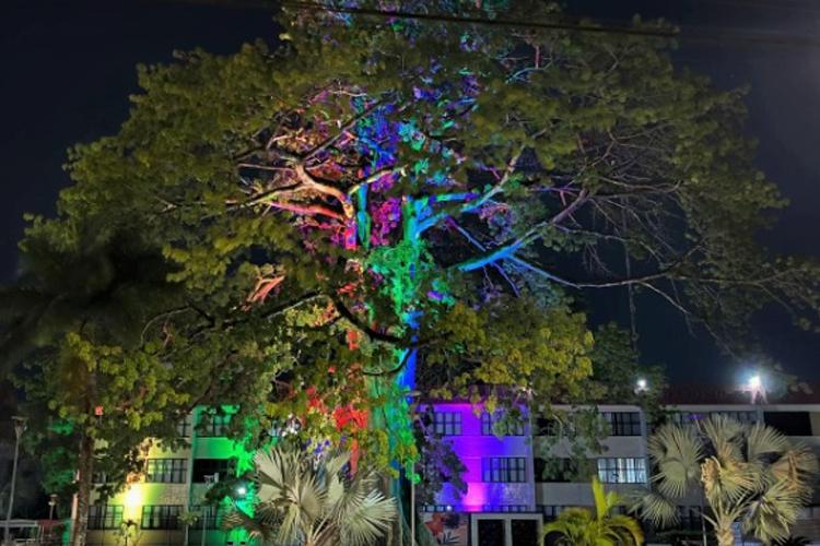 Cores do orgulho: MP-AP se une à Parada LGBTQIA+ com iluminação especial
